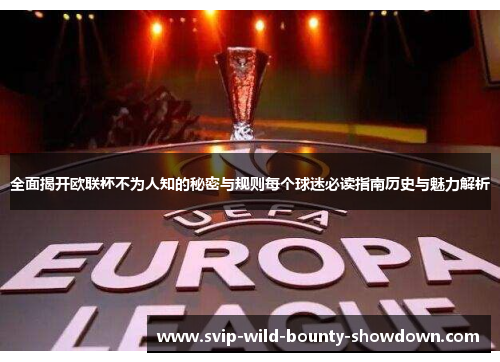 全面揭开欧联杯不为人知的秘密与规则每个球迷必读指南历史与魅力解析