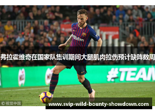 弗拉霍维奇在国家队集训期间大腿肌肉拉伤预计缺阵数周 弗拉霍维奇在国家队集训期间大腿肌肉拉伤预计缺阵数周