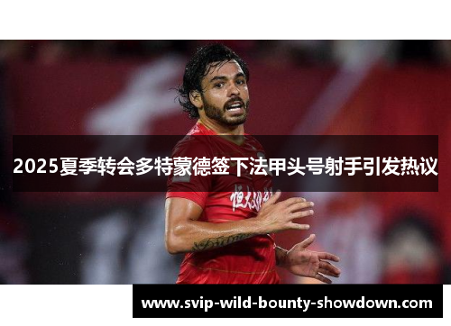 2025夏季转会多特蒙德签下法甲头号射手引发热议