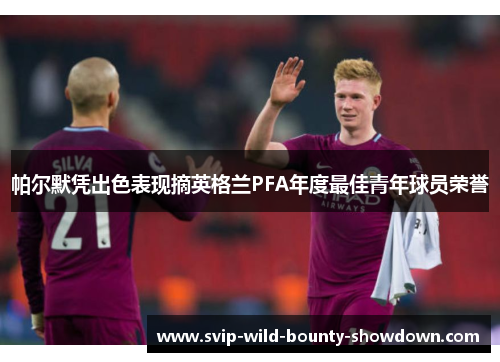 帕尔默凭出色表现摘英格兰PFA年度最佳青年球员荣誉